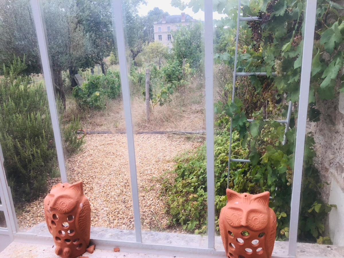 L'Orangerie "The Orangery" Du Parc Des Nouies Villa แซลส์-ซูร์-แชร์ ภายนอก รูปภาพ